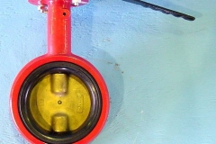 BUTTERFLY VALVE