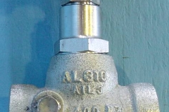 GLOBE VALVE